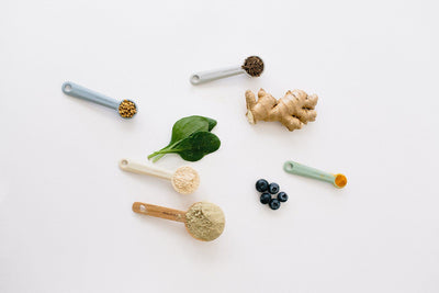 How Galactagogues Work