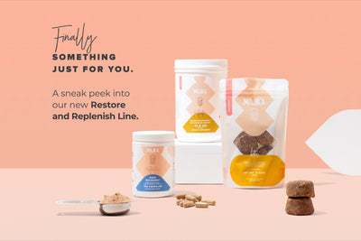 Restore and Replenish: Your Postpartum Nutrition, Energy, Hair, Skin, and Nails, Covered.